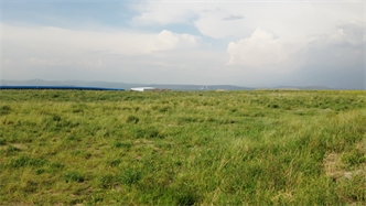 標題：扎哈淖爾煤礦
瀏覽次數(shù)：2835
發(fā)表時間：2019-10-31