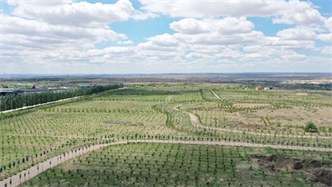 標題：托縣綠博園
瀏覽次數(shù)：2513
發(fā)表時間：2019-10-31