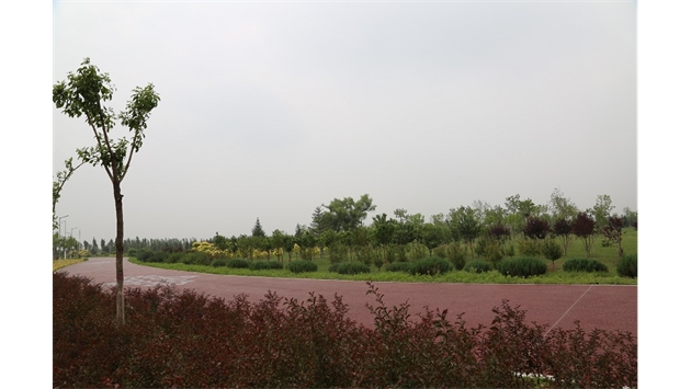 標題：大青山南坡生態(tài)修復
瀏覽次數(shù)：2629
發(fā)表時間：2020-10-16