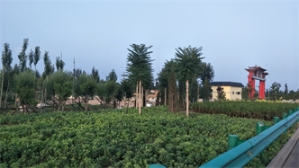 標題：張家口經(jīng)開區(qū)腰站堡飲用水源地生態(tài)涵養(yǎng)綠化
瀏覽次數(shù)：3141
發(fā)表時間：2020-10-16