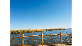 標(biāo)題：額濟(jì)納胡楊林景區(qū)
瀏覽次數(shù)：1983
發(fā)表時(shí)間：2020-10-16