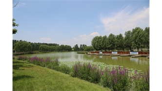 標題：包頭市民公園
瀏覽次數(shù)：2049
發(fā)表時間：2020-10-16