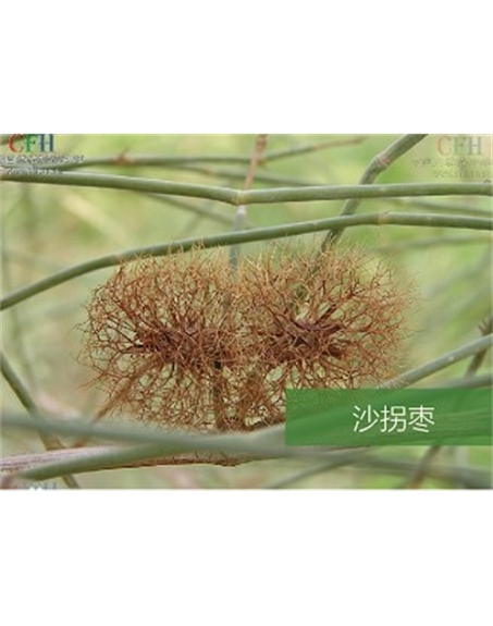 標題：名貴樹種
瀏覽次數(shù)：1825
發(fā)表時間：2020-10-17