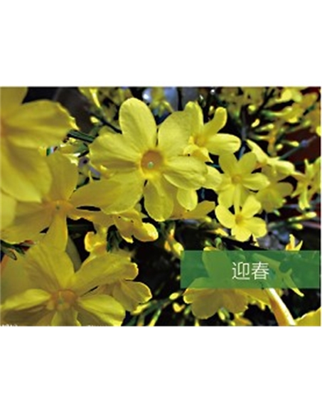 標(biāo)題:?jiǎn)坦嗄?瀏覽次數(shù):1749
發(fā)表時(shí)間:2020-10-17