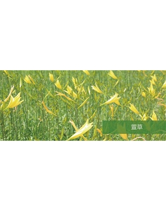 標題：地被
瀏覽次數(shù)：1951
發(fā)表時間：2020-10-17