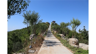 標題：張家口太子山山體修復
瀏覽次數(shù)：19350
發(fā)表時間：2020-11-12